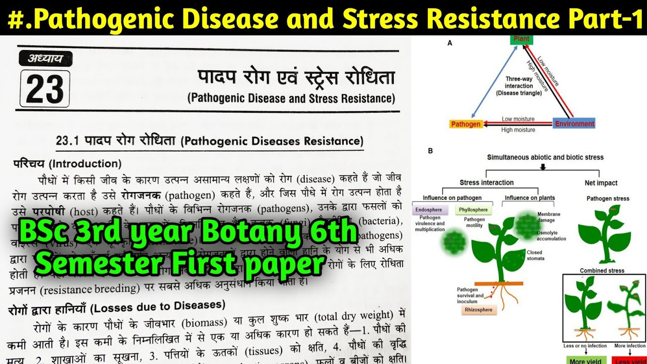 Pathogenic Disease and Stress Resistance || BSc 3rd year Botany 6th Semester first Paper in Hindi
