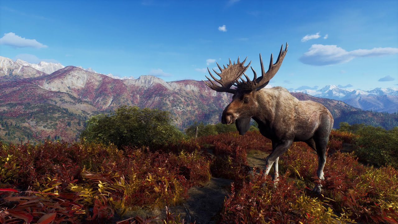 the hunter call of the wild caçando umas raposa