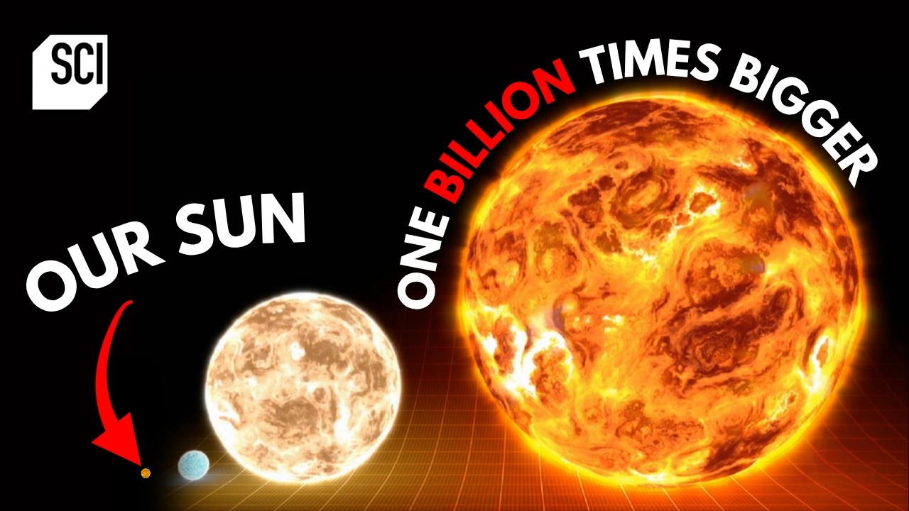The Universe's Biggest Stars ☀️⭐️ How the Universe Works | Science Channel