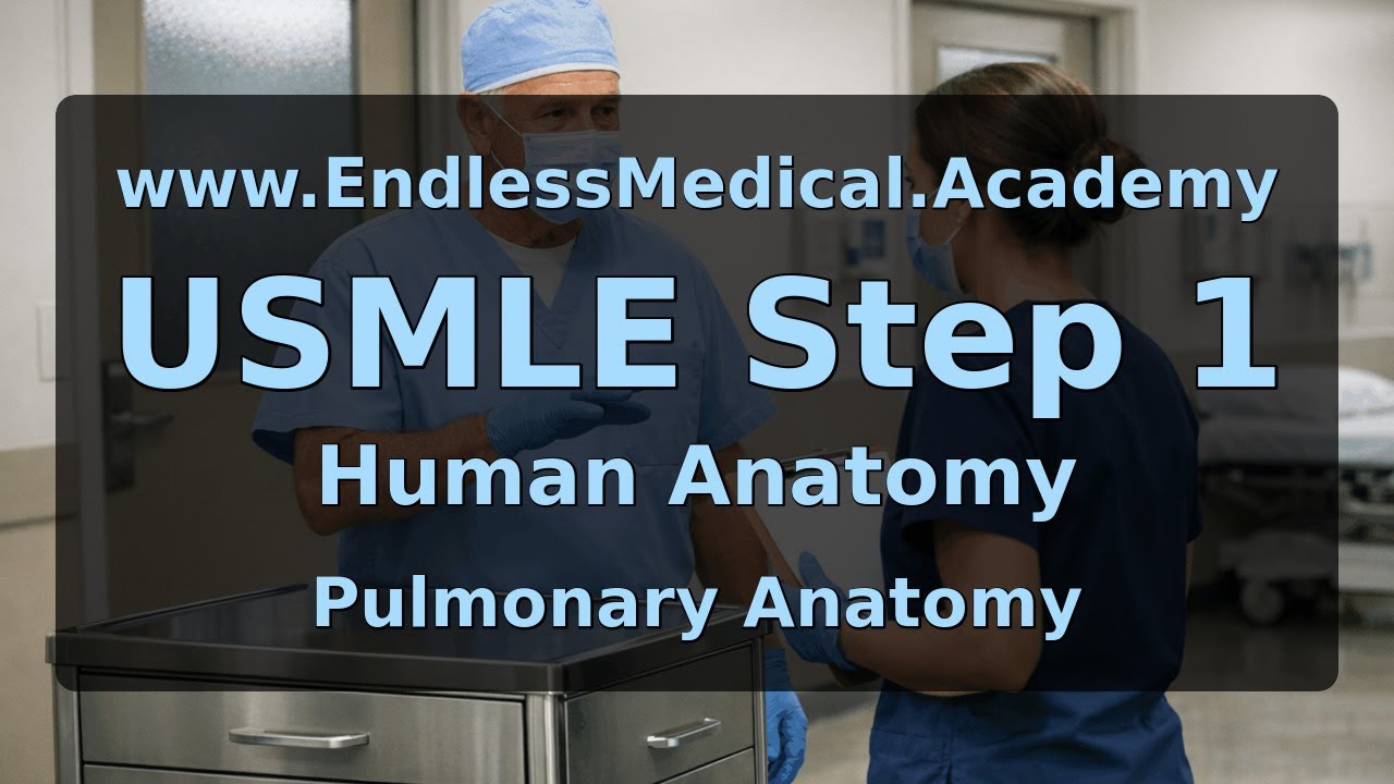 Pulmonary Anatomy, Human Anatomy, USMLE Step 1 - Full Vignette with Extended Explanations