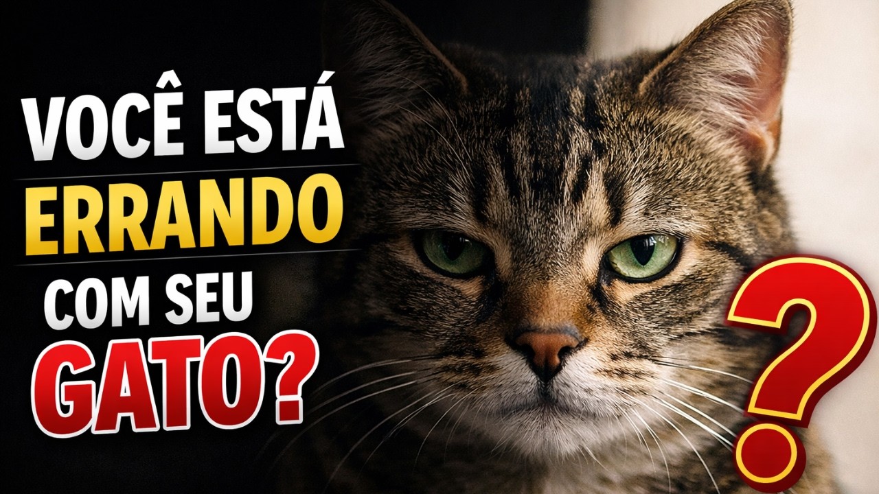 Você Está Amando Seu Gato do Jeito Errado (E Ele Está Sentindo Isso)