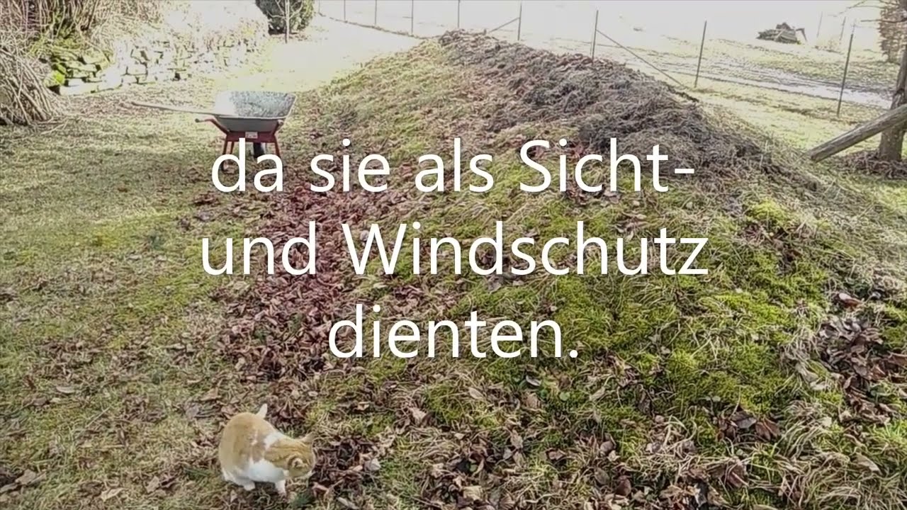 Frühjahrsarbeiten. Mit tatkräftiger Unterstützung einer Streunerkatze (mit festem Wohnsitz).