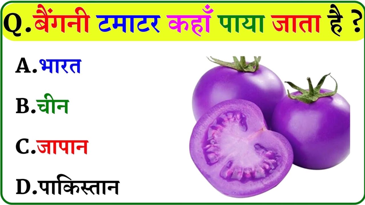 GK Questions || GK In Hindi || GK Questions Answers || GK Quiz || CRICO || 
