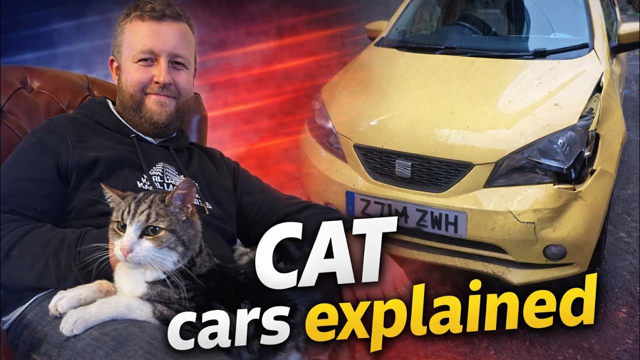 CAT 🐈‍⬛ cars explained!