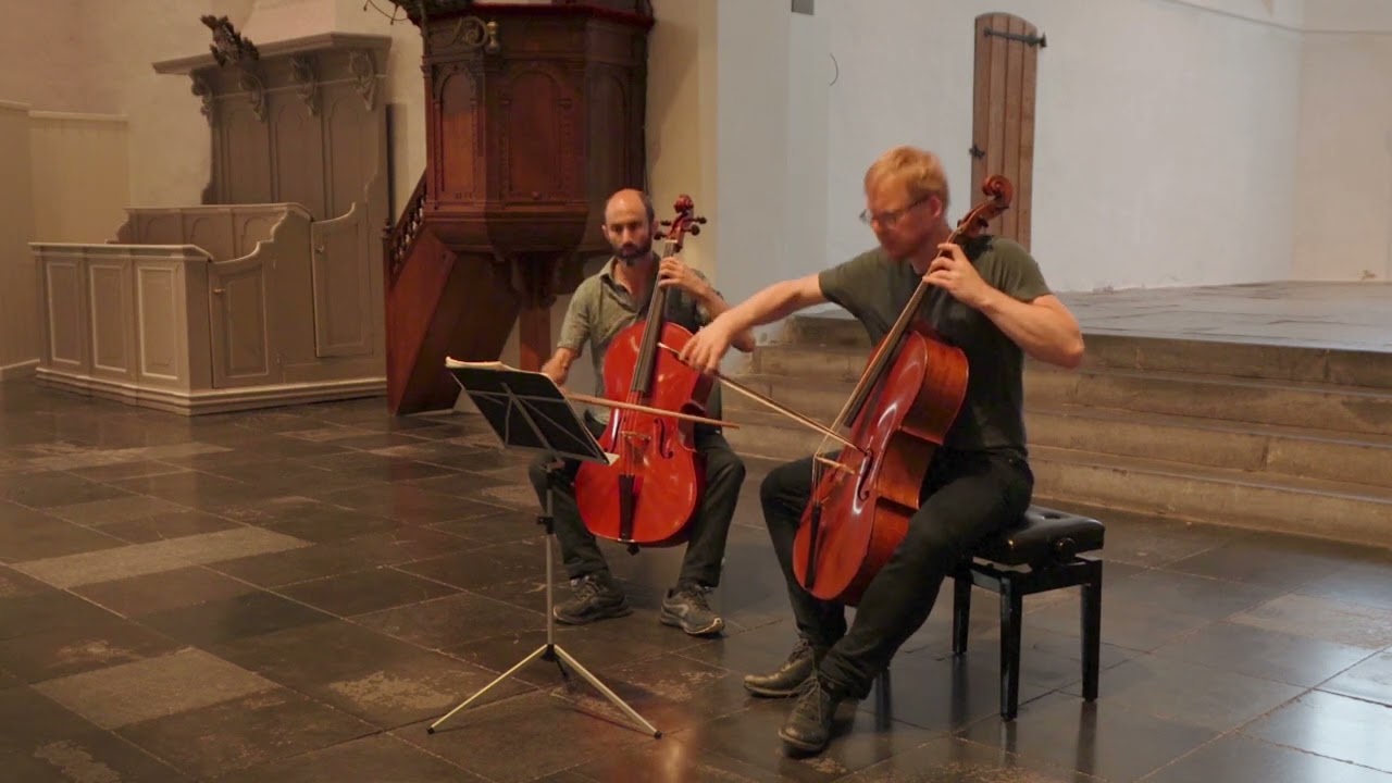 Geminiani - Cello Sonata in d minor: Andante, Presto - Diederik van Dijk and Robert Smith