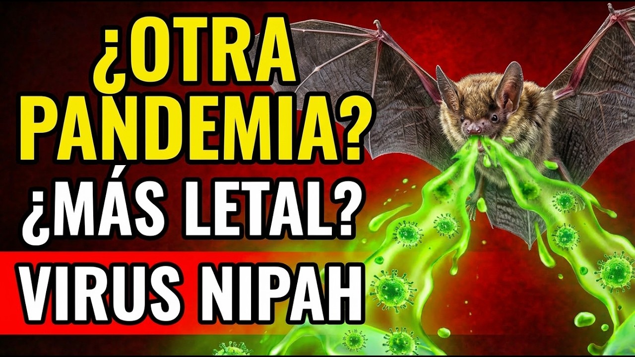 La 'Gripe' que Puede Ser Mortal en 48 Horas Virus Nipah en Adultos Mayores