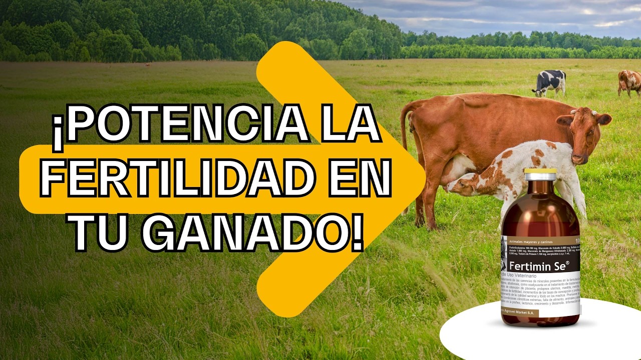 ¡Más crías, más productividad: Fertimin Se® es la clave!