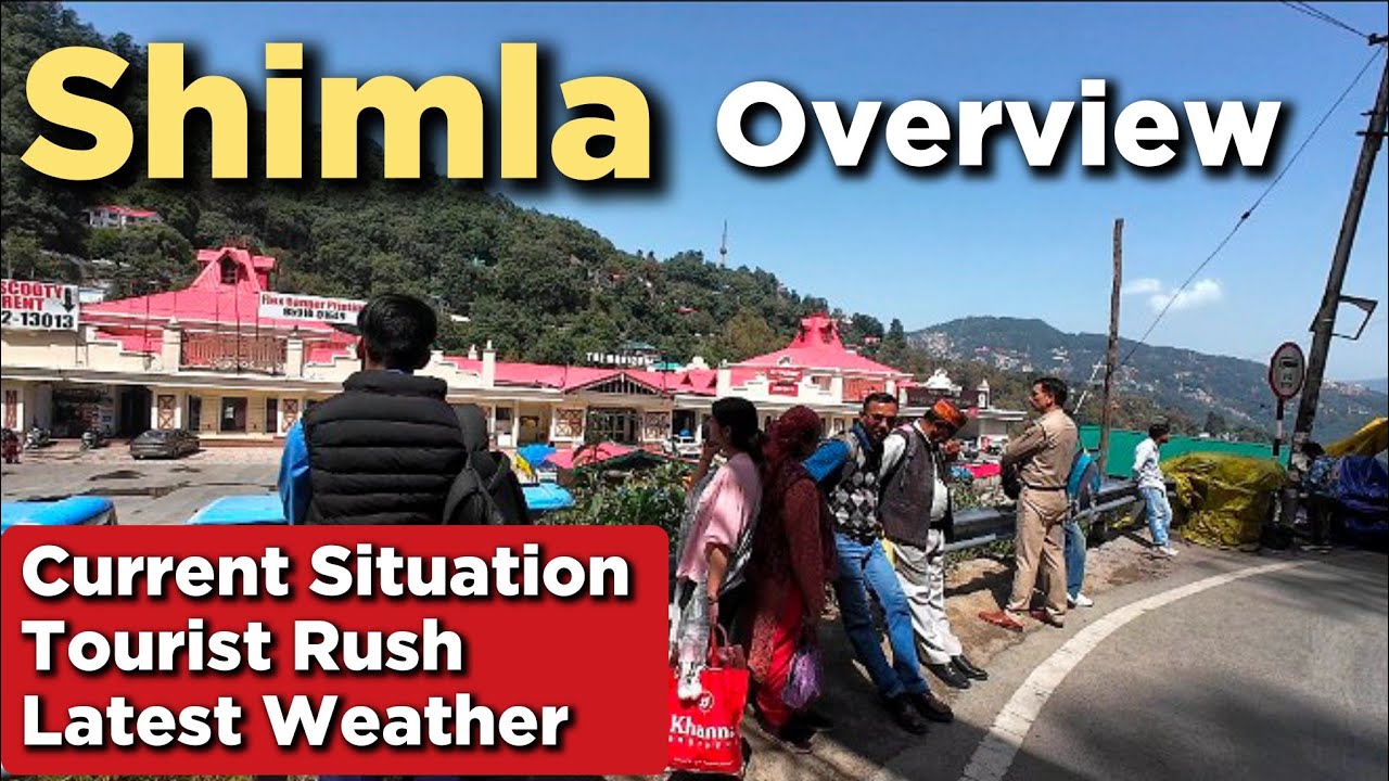 Shimla Current Situation | Shimla Crossing Overview | Latest Shimla Video #shimla #shimlahimachal