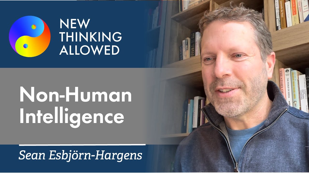 Обсуждение Realms of Non-Human Intelligence with Sean Esbjörn Hargens