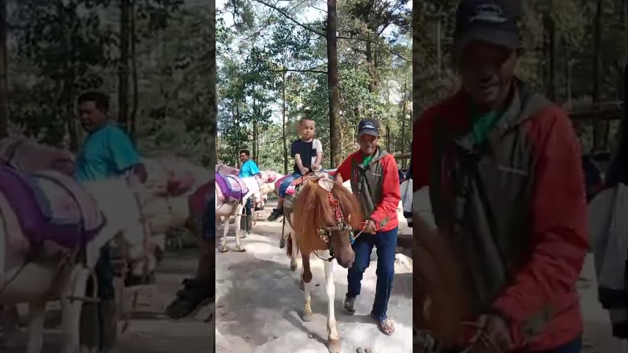 MALINO KOTA BUNGA