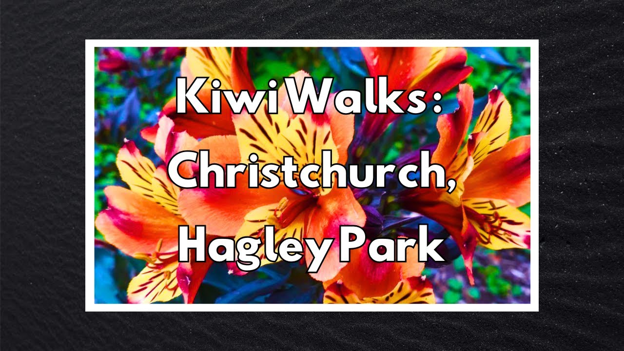 Kiwi Walks: Christchurch, Botanical Gardens & Hagley Park - New Zealand Spring Walk - 4K