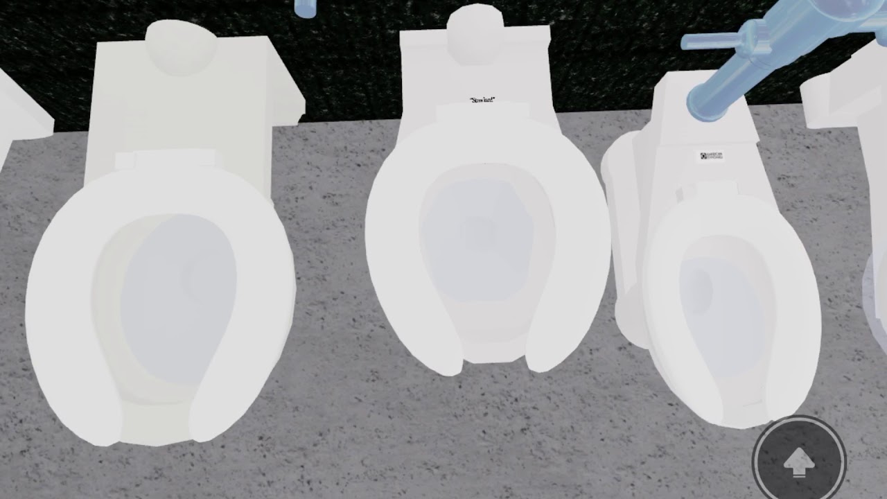 A BUNCH of Roblox toilets!