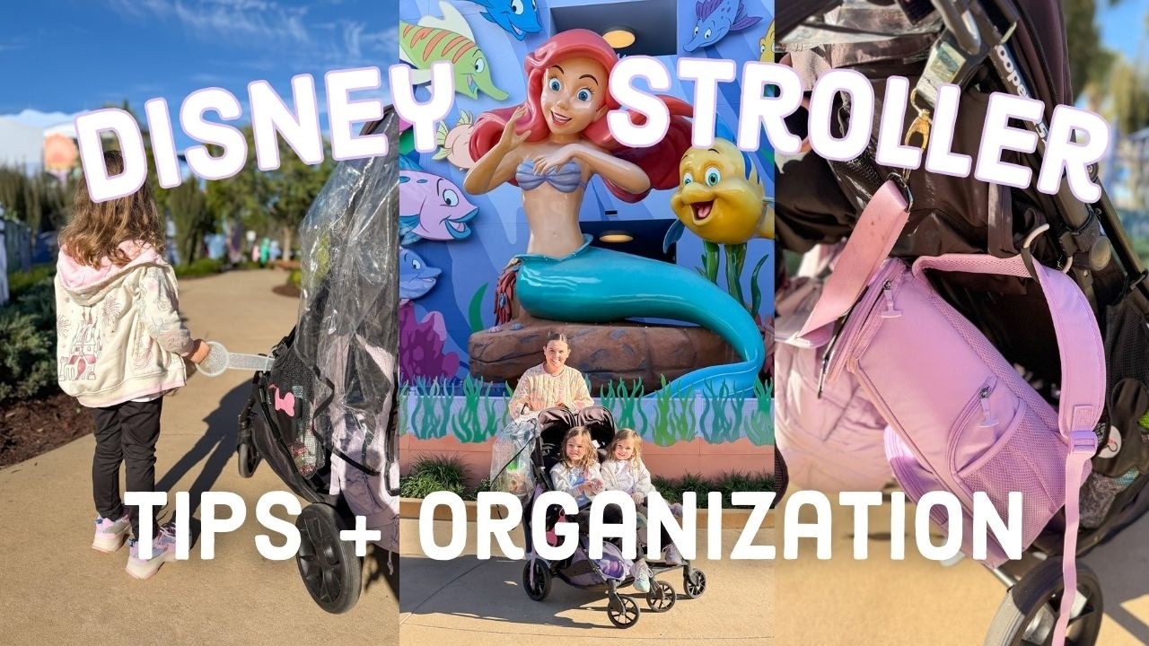 2026 Disney Double Stroller Setup and Organization