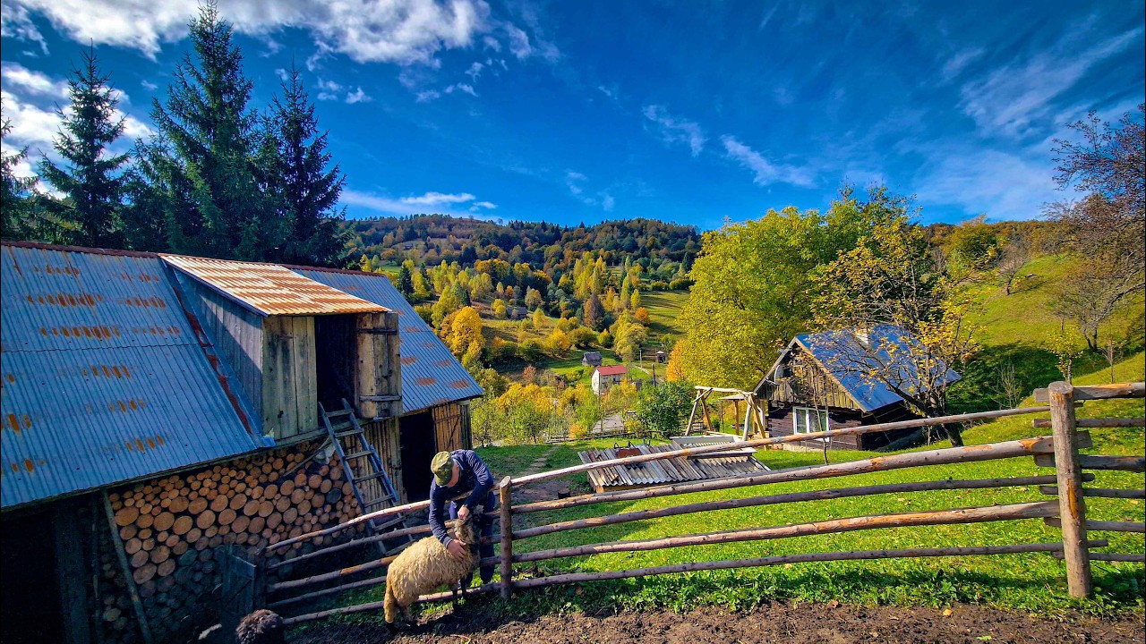 Living Alone in the Carpathians | Yuriy’s Peaceful Mountain Life