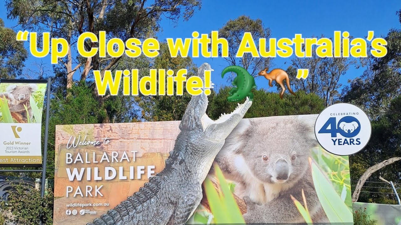 Ballarat Wildlife Park Walkthrough | Kangaroos, Koalas & Aussie Adventures!