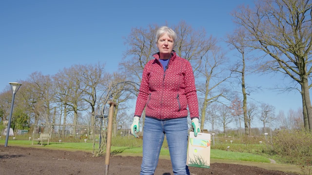 Tips van Seurosa om struikrozen te planten. www.seurosa.nl! Stuikrozen planten: hoe doe je dat?