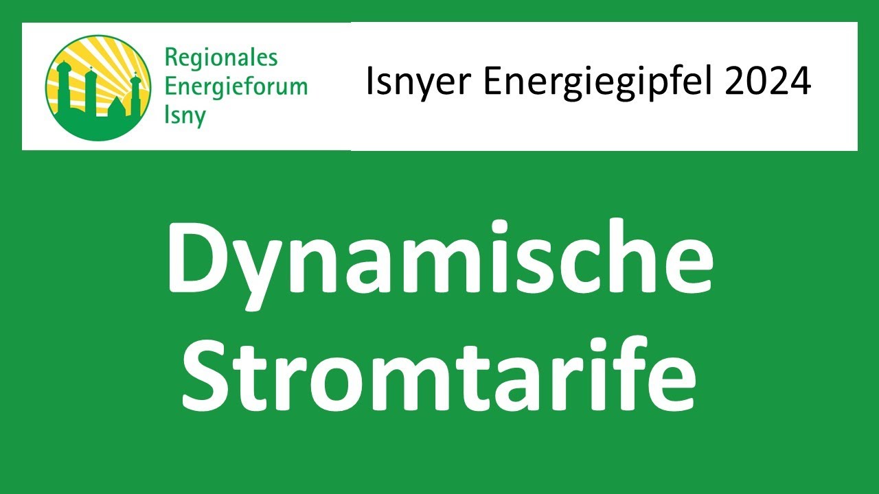 Dynamische Stromtarife - Fluch oder Segen?