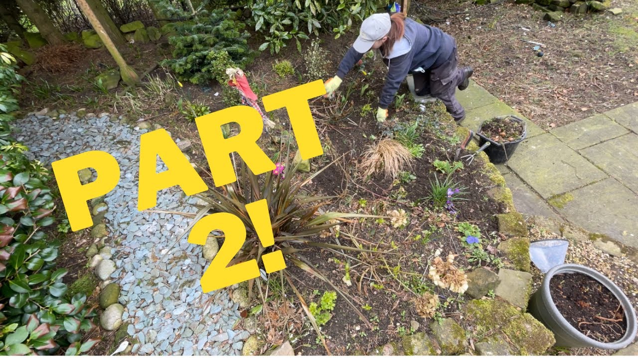 Complete Garden Border Transformation! Messy Border Tidy up. PART 2!