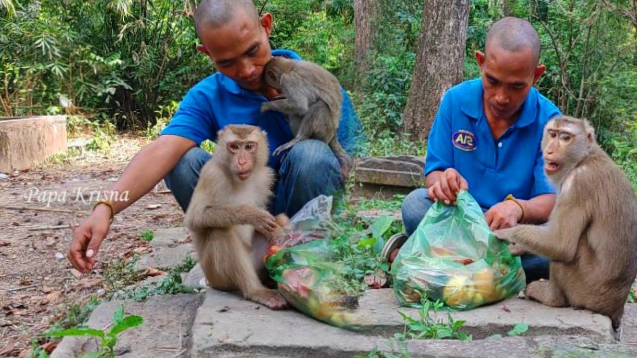 Papa Lin tries feed to Sovana & Dawn Extra fruits; suddenly they leave dad, when Libby come to get..