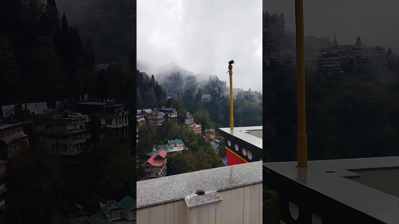 Darjeeling Datia temple view #2026 clouds and puppies are more than loyal 🎭🎨