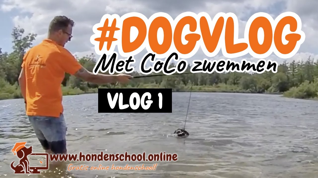 #dogvlog 1 - Zwemmen met CoCo