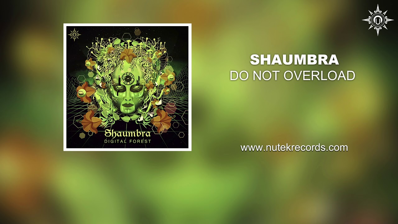 Shaumbra - Do Not  Overload
