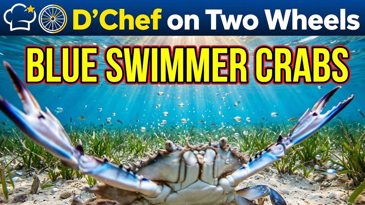 Catch and cook. Blue swimmer crabs for dinner. Ginataang alimasag recipe
