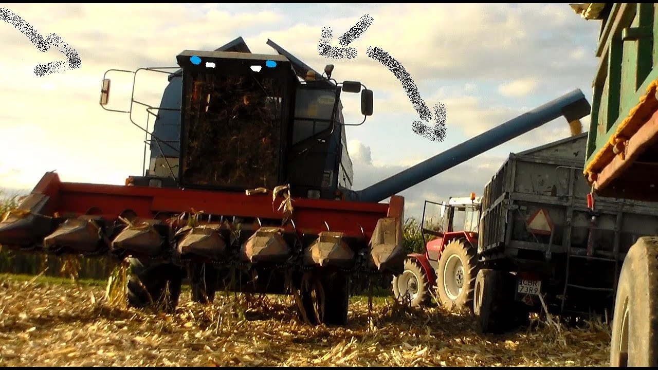 KUKURYDZA NA ZIARNO W GRUDNIU ???/BIZON BS Z110/ZTS16245
