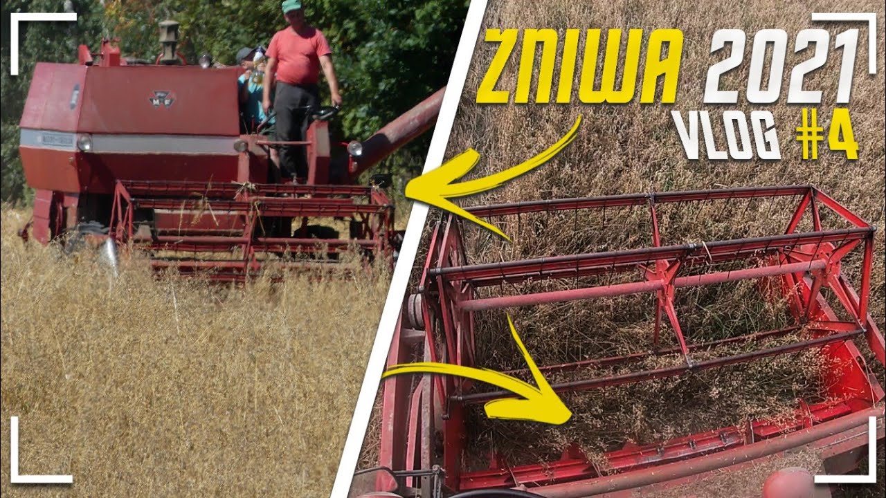 Vlog#4✔ Oczami kombajnisty👀 Massey Ferguson 186🚜 Żniwa 2021na Kaszubach 🔥✔2x360✔🔥
