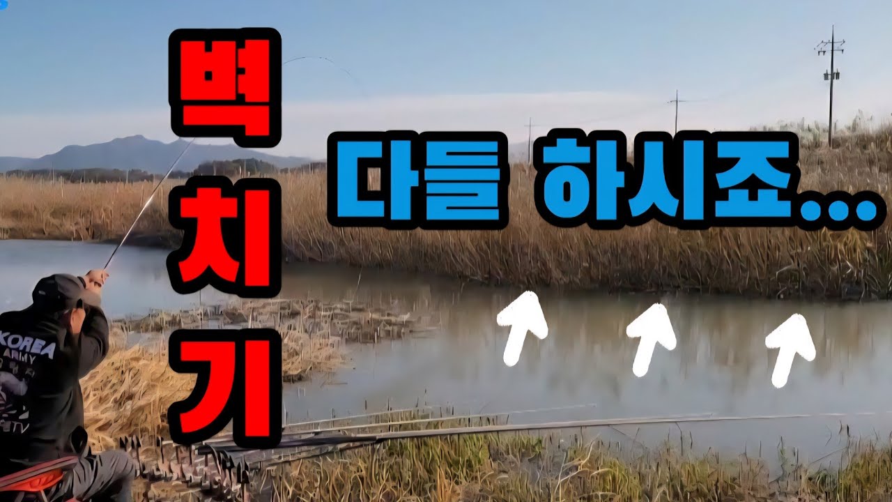 벽치기에 붕어들이 나옵니다 #붕어낚시 ##붕어바닦낚시 #월척붕어
