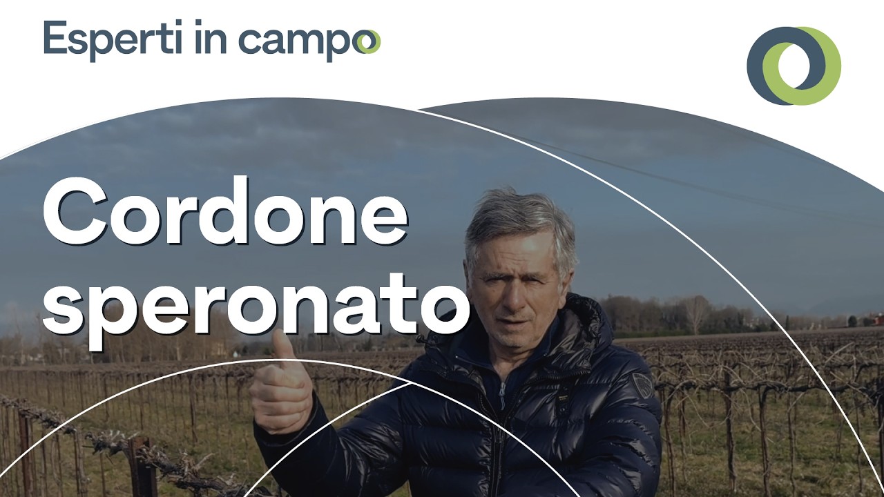 La potatura invernale 