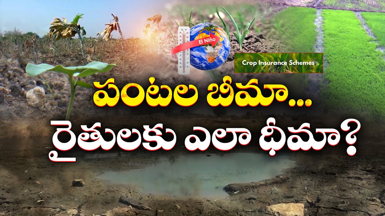 కరవు ఛాయల్లో అన్నదాత.. పంటల బీమా ఎందుకు అందడం లేదు? || Pratidhwani