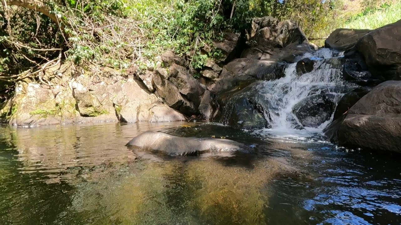 Guadeloupe - Rivière La Coulisse