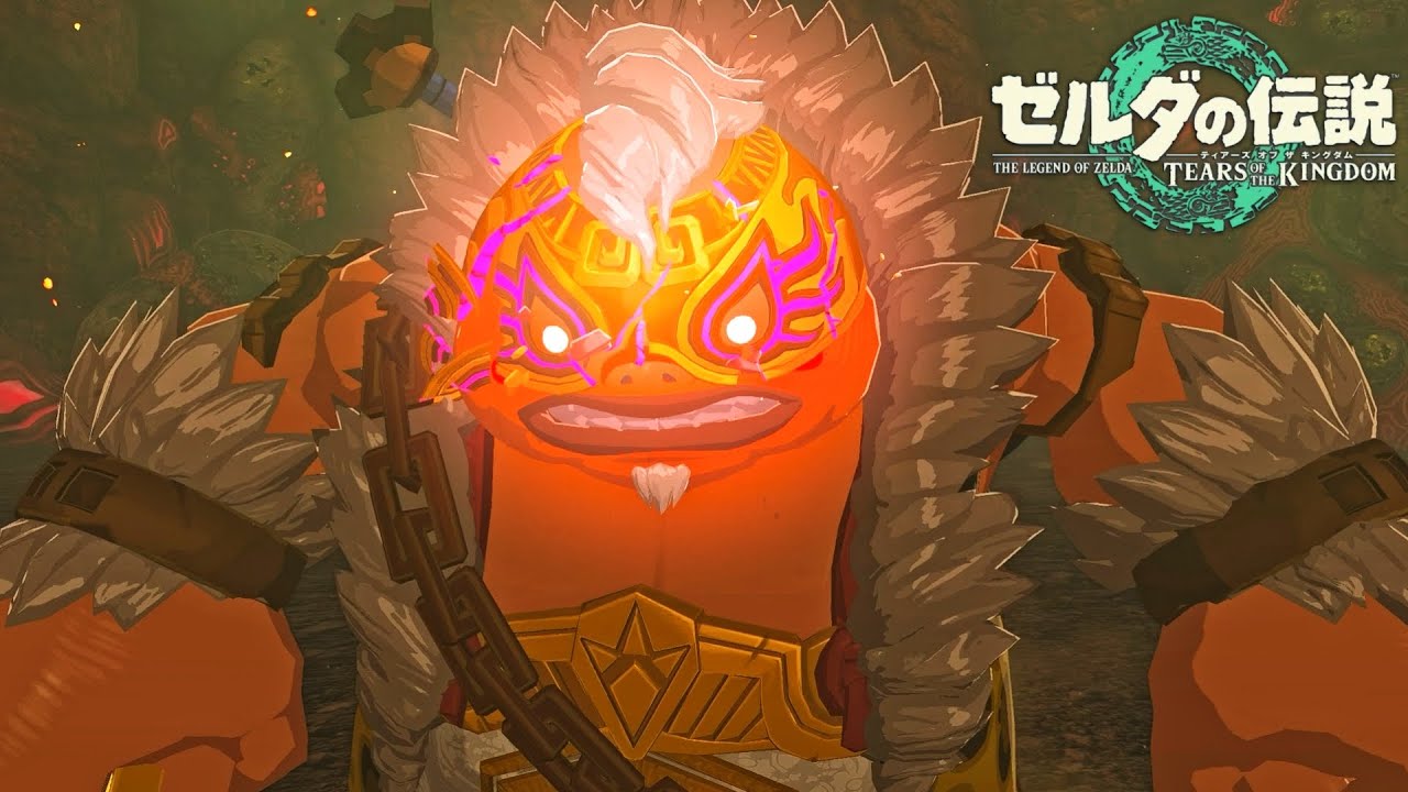 レスラーとか目指してる？【ゼルダの伝説 ティアーズ オブ ザ キングダム】#40