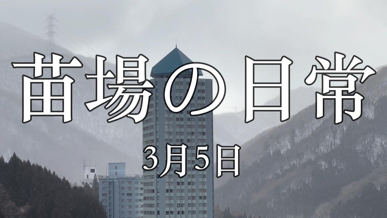 （515）苗場ひとり暮らし　3月5日