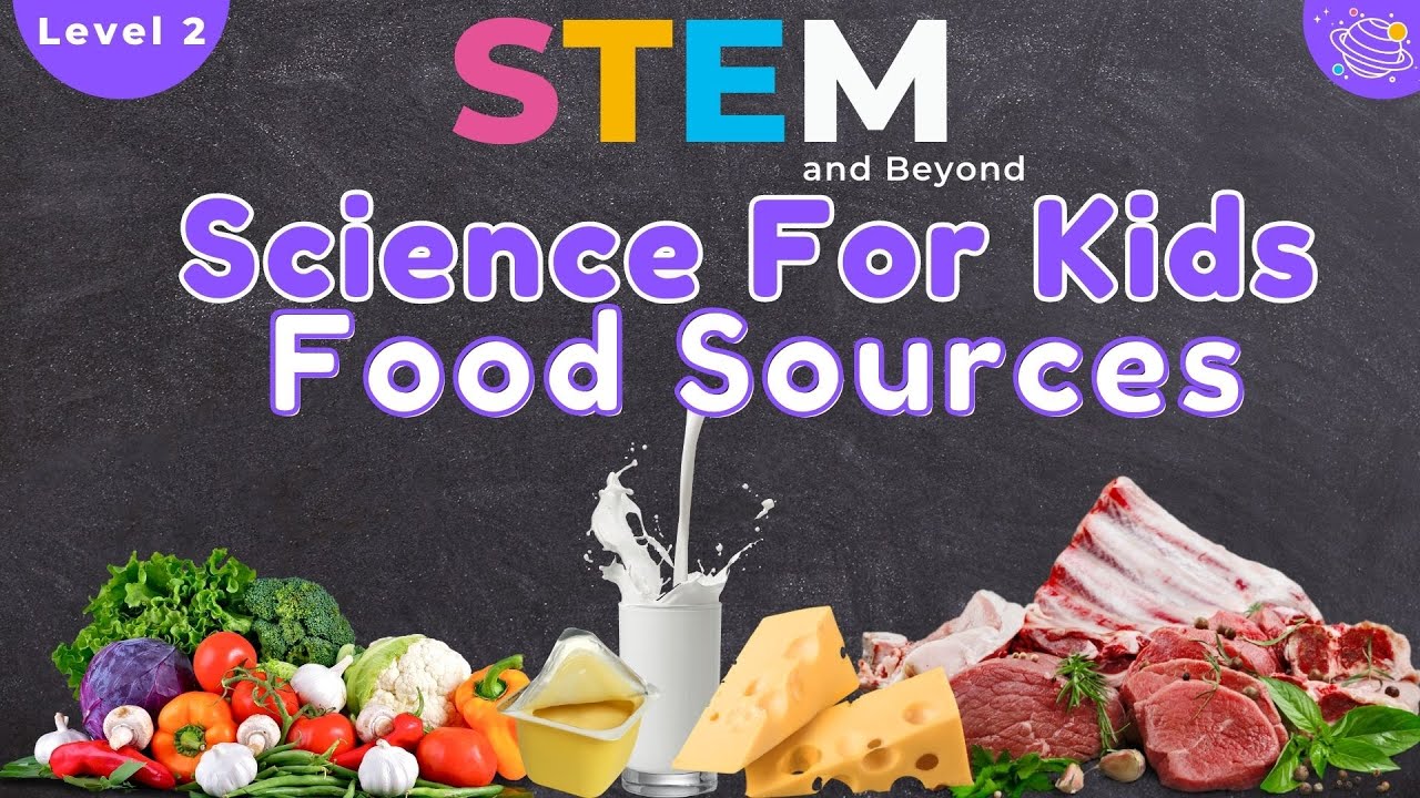 Food Sources | Science For Kids |