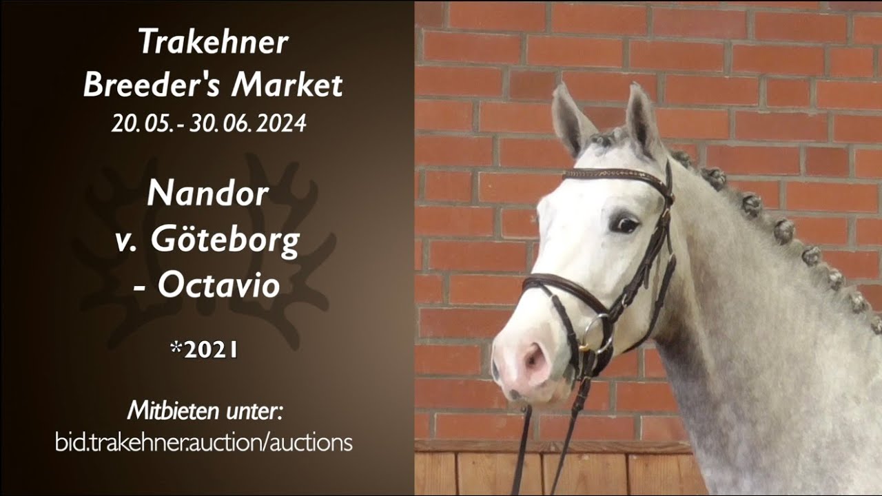 Nandor - Wallach v. Göteborg - Octavio *2021