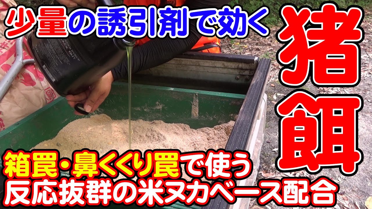 【 狩猟解説 】Vol.33 猪用の誘引餌 米ぬかベースで低コスト 誘引剤を配合して猪を強く引き寄せる 箱罠・鼻くくりわな用配合餌【狩猟】【猪】【わな猟】