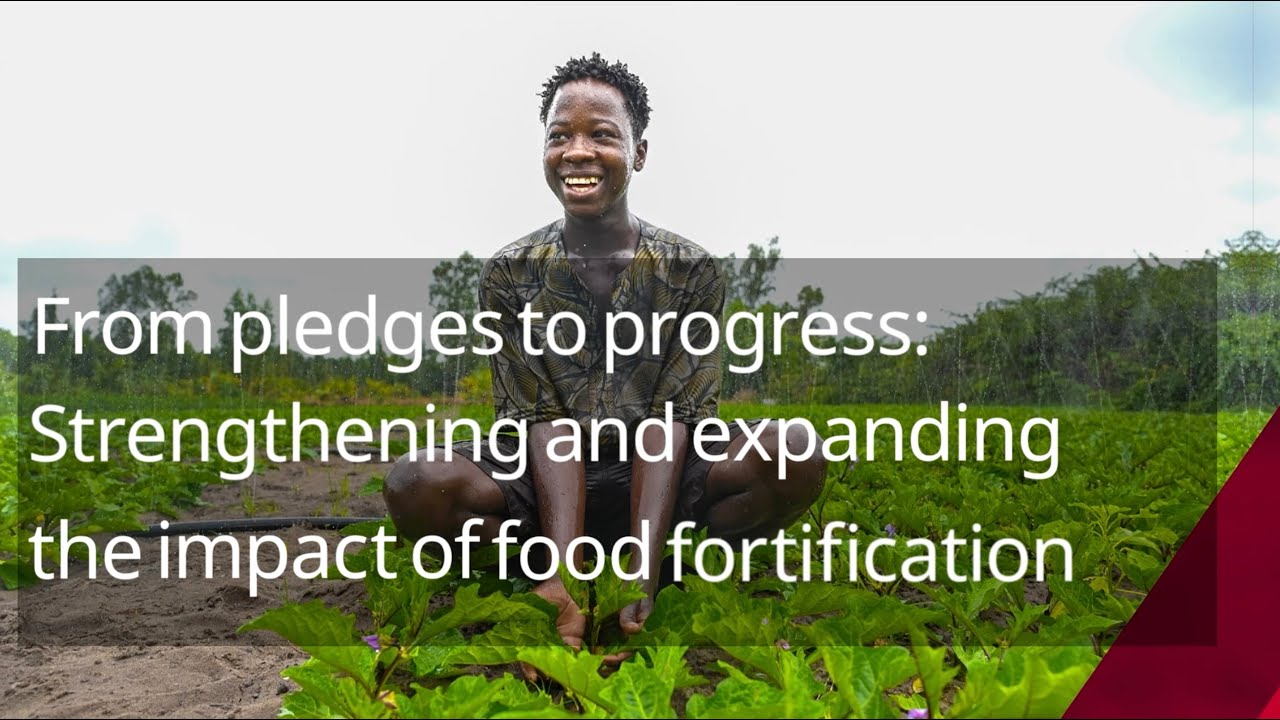 From Pledges to Progress: Strengthening and Expanding the Impact of Food Fortification