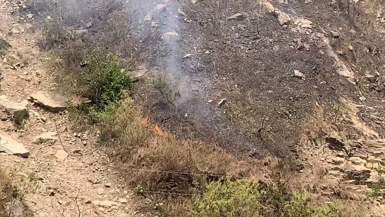 Forest fire at Gaurishankar Conservation Area, Bigu Rural Municipality, Singati, Dolakha
