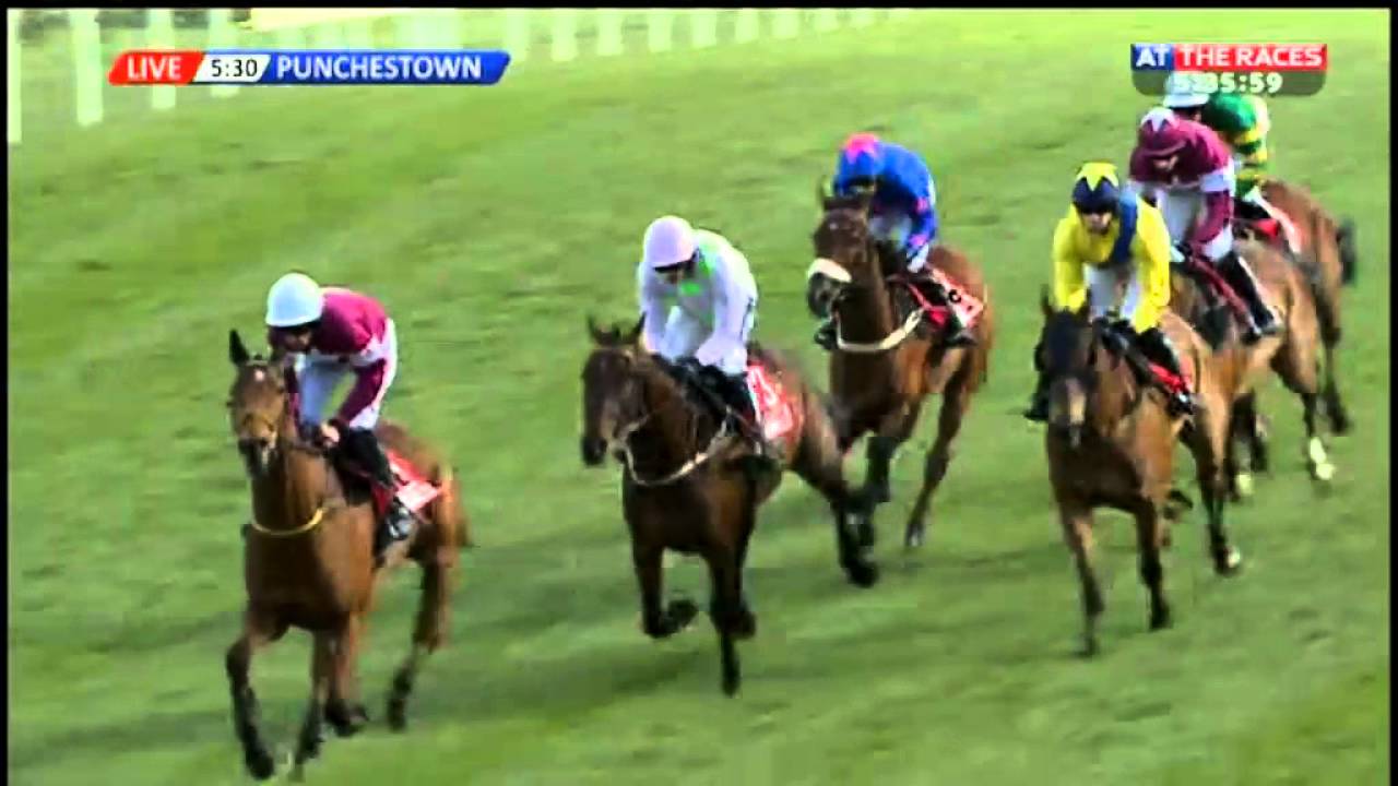 Carlingford Lough - Bibby Financial Services Ireland Punchestown Gold Cup (Grade 1) - 2016