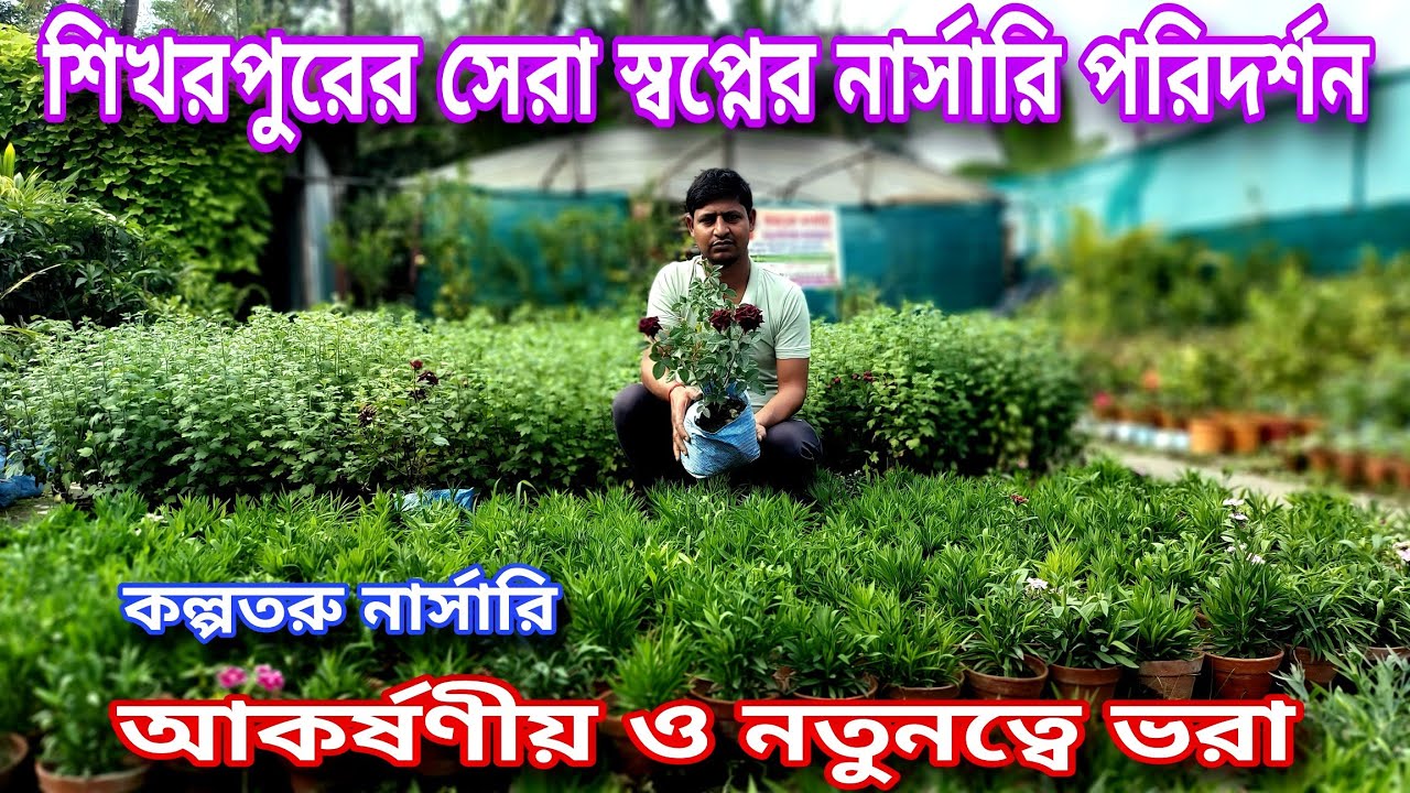 আপনার তালিকায় যে গাছ চাইবেন সবকিছু পাবেন এখানে / আকর্ষণীয় ও নতুনত্বে ভরা /Shikharpur Nursery Visit