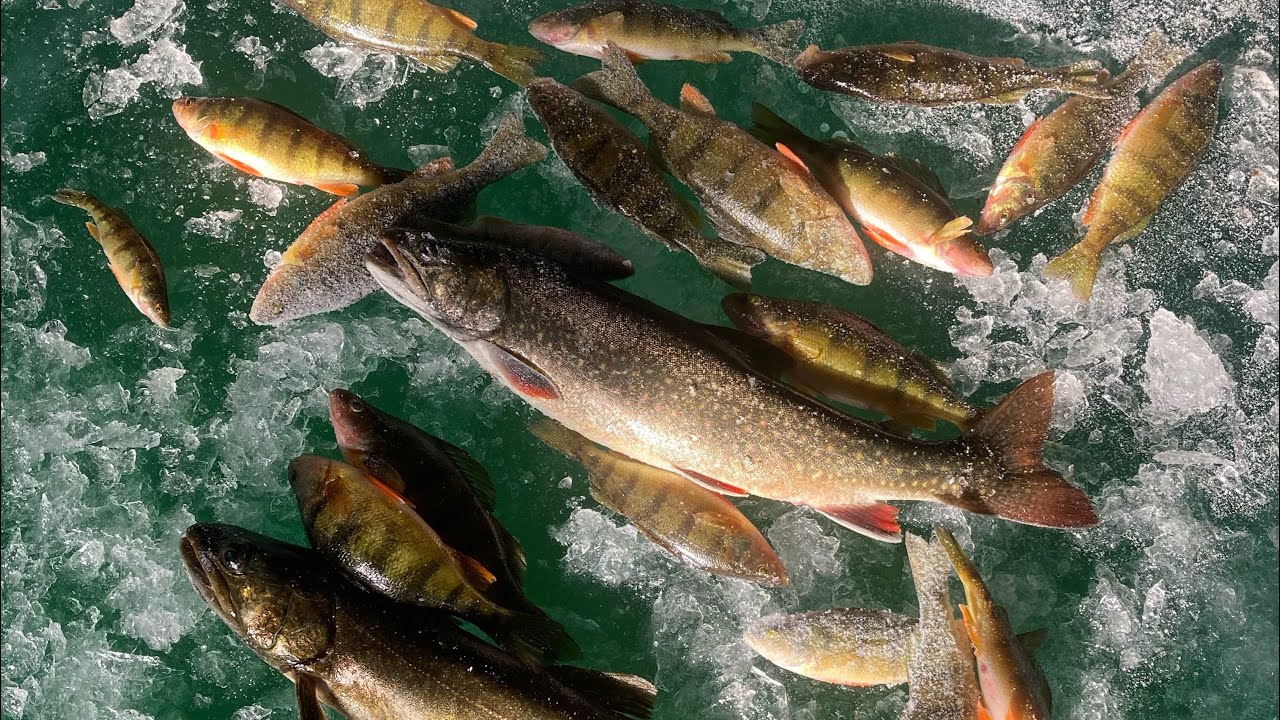 Fish Lake Ice Fishing December 2022