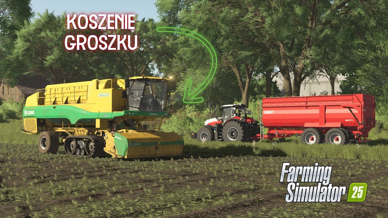 KOSZENIE GROSZKU🔥WYPOŻYCZONYM SPRZĘTEM👍. FARMERSKIE ŻYCIE #48