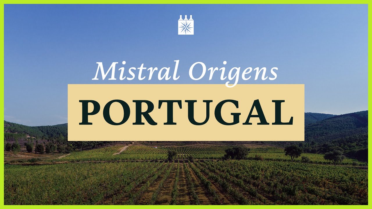 Vinhos de Portugal – Produtores e regiões | Mistral Origens