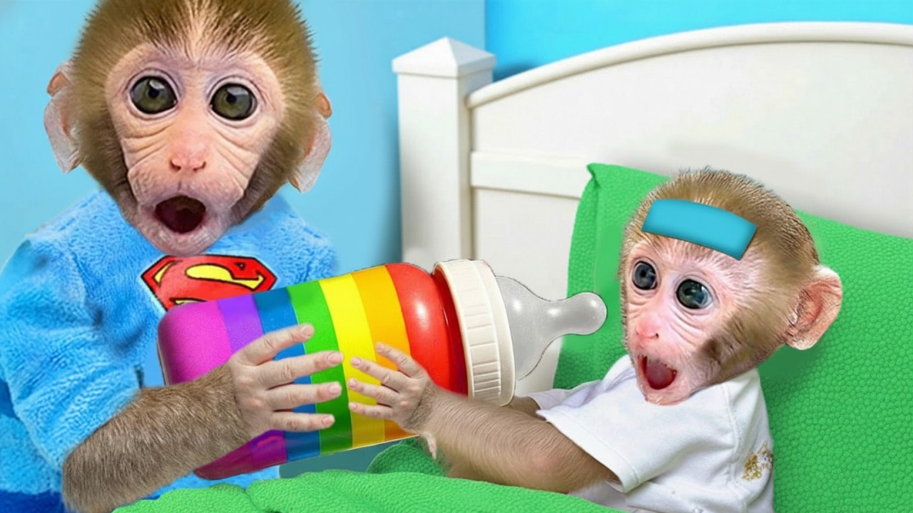 Macaquinho GoGo cuida do bebê macaquinho doente com mamadeira colorida | Gogo Family