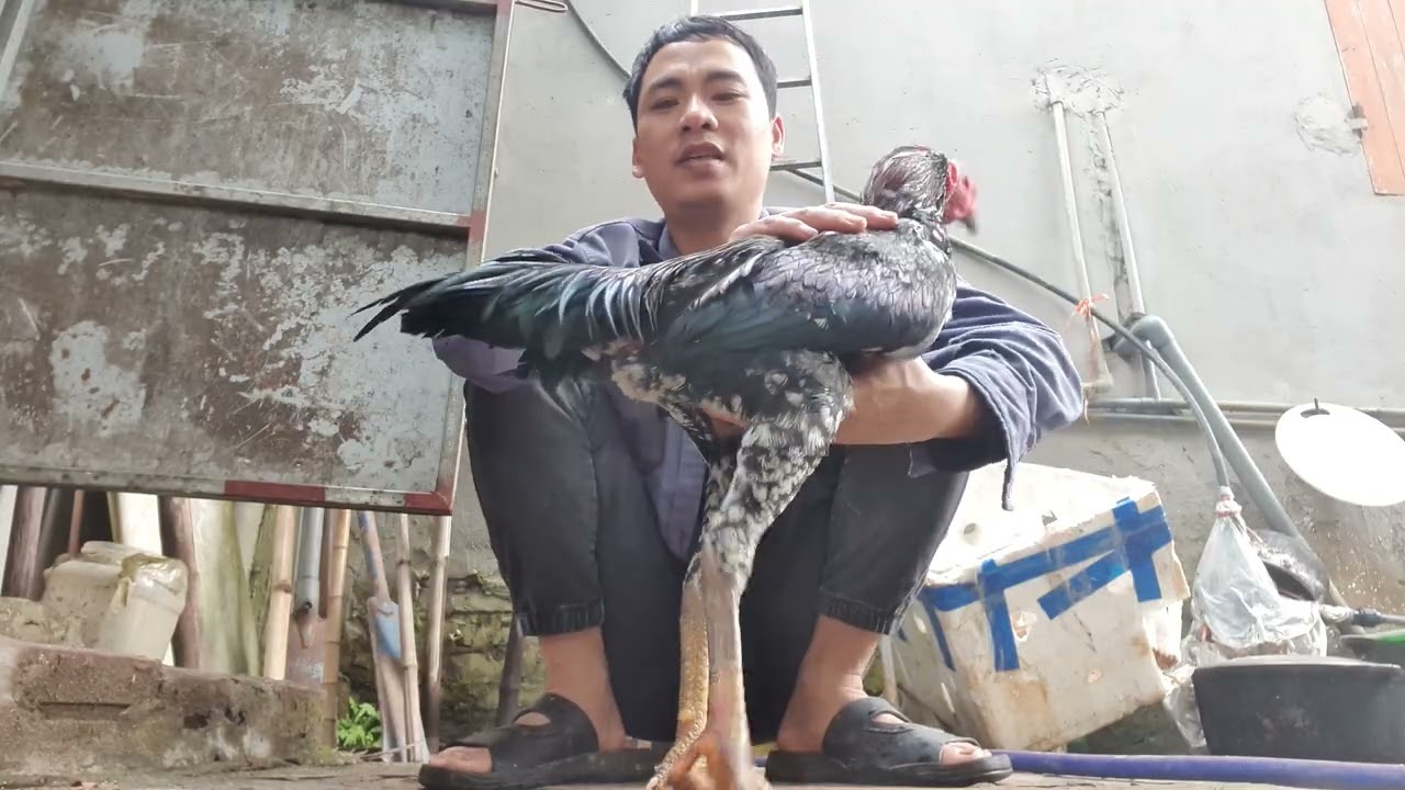 Gần tết công việc nhiều bận quá các bác ạ.