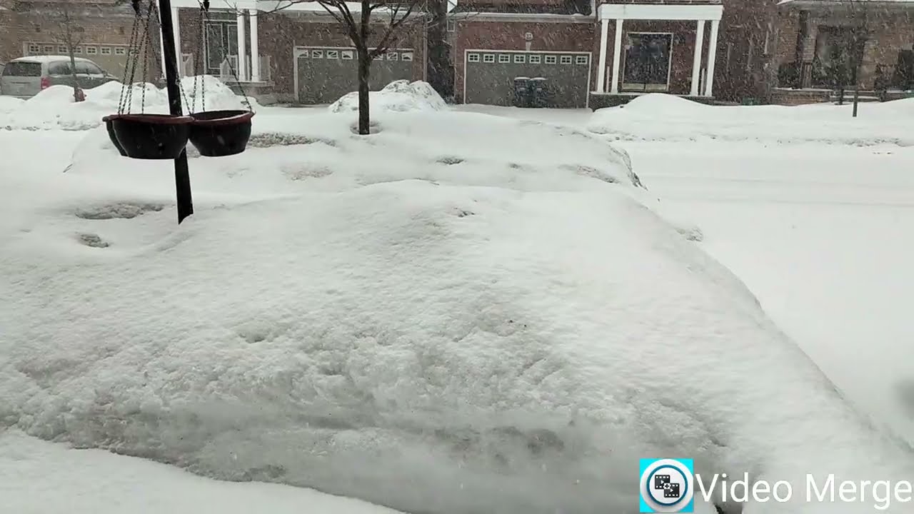 Freezing snowfall in canada#FREEZINGSNOWINCANADA#🍁🍁🍁🍁🍁🍁🍁🍁🍁