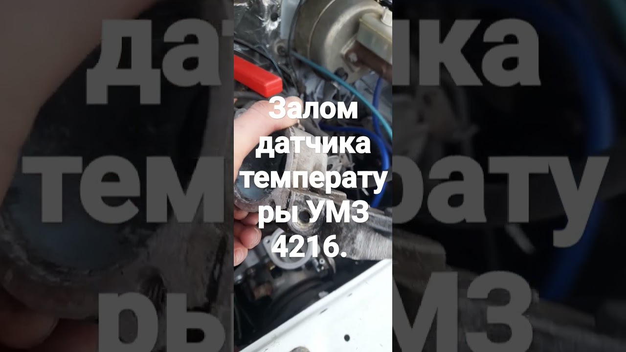 залом датчика температуры УМЗ 4216