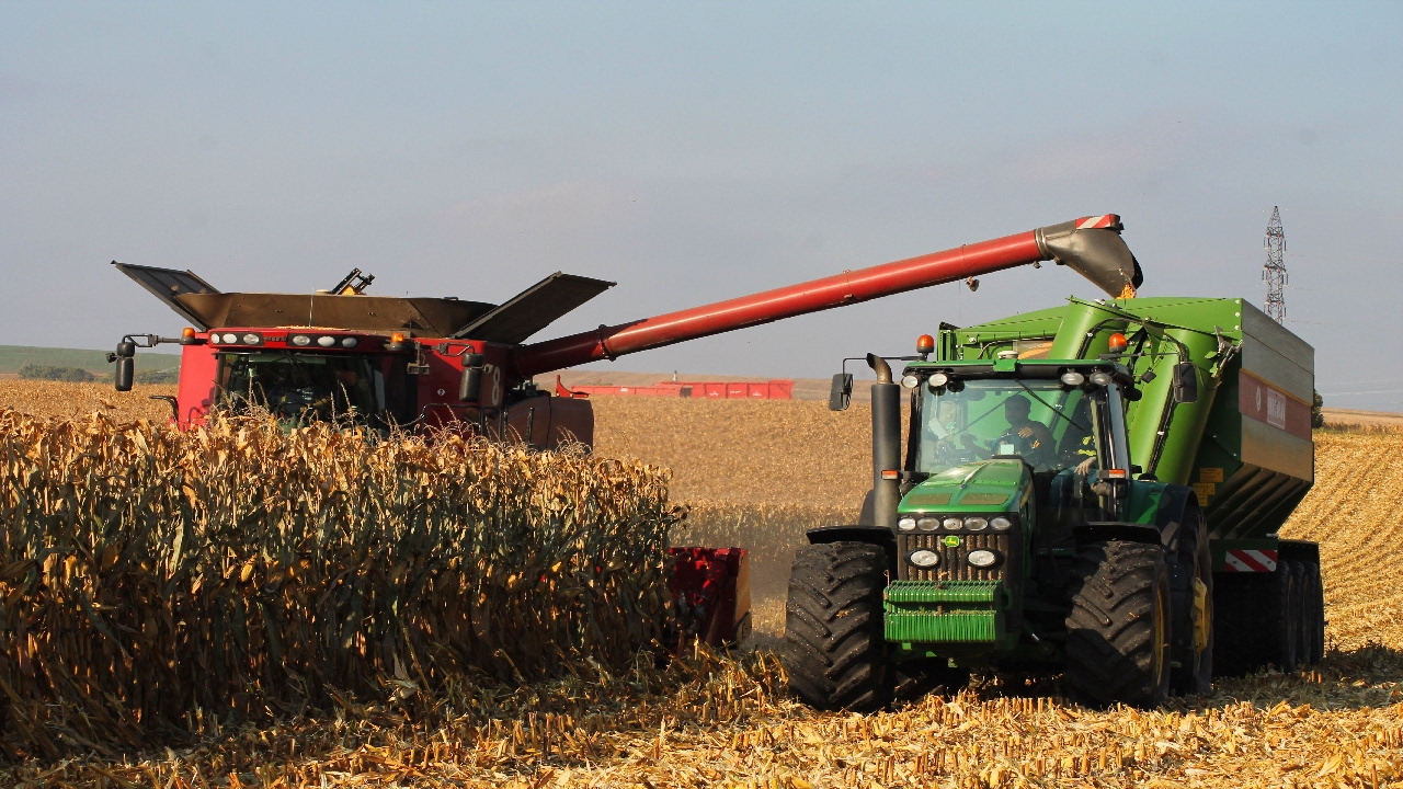 Corn Harvest 2016 -  Case IH 9120 Combine and 12 Row Corn Head | John Deere 8530 & Bergmann GTW 430